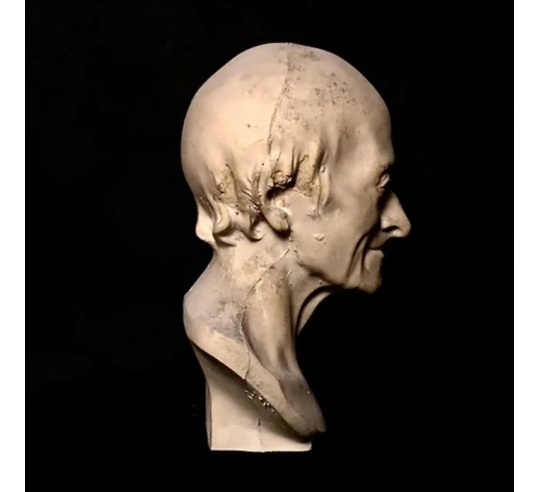 Buste de François Marie Arouet dit Voltaire d après Jean Antoine Houdon