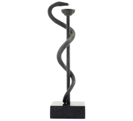 Caduceus of Medicine or Bronze Staff of Asclepius