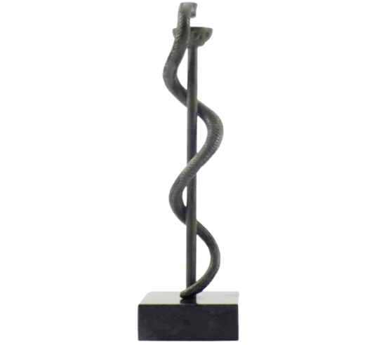Caduceus of Medicine or Bronze Staff of Asclepius