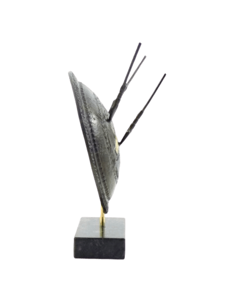 Bouclier en Bronze de Léonidas roi de Sparte, criblé des flèches des armées de Xerxès roi de Perse, bataille des Thermopyles