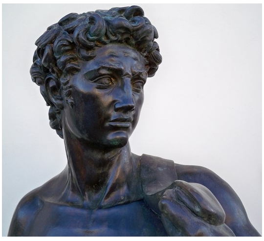 Estatua en Bronce Patinado: David de...