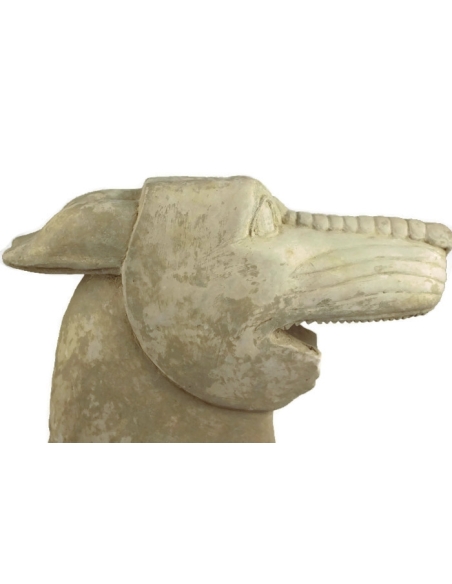 Tête de loup, El Pajarillo Tête de loup, El Pajarillo