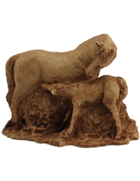 Jument et son poulain