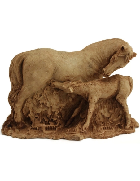 Jument et son poulain