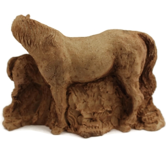 Jument et son poulain