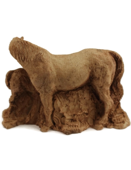 Jument et son poulain