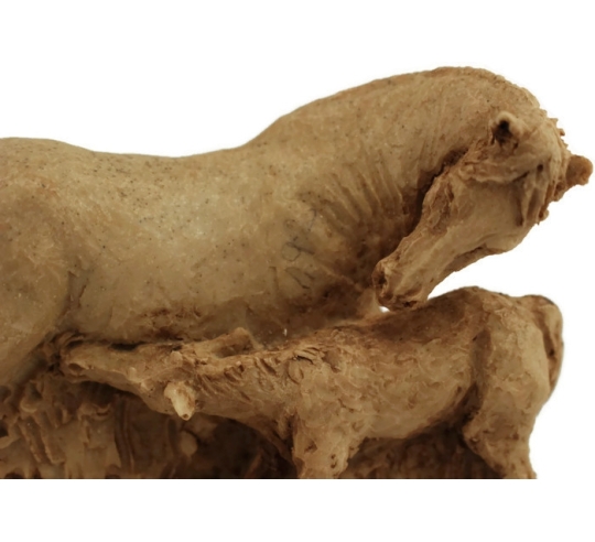 Jument et son poulain