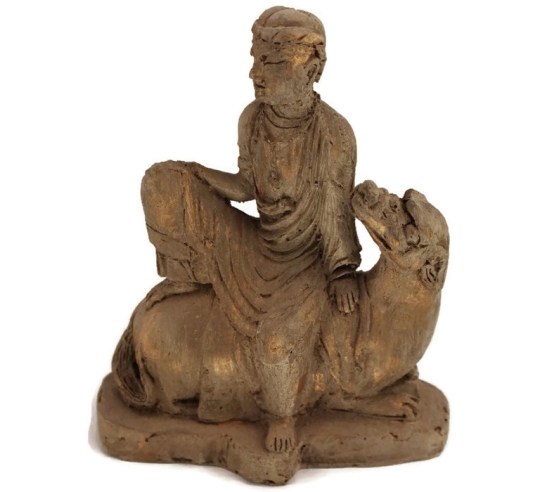 Hombre montado a camello