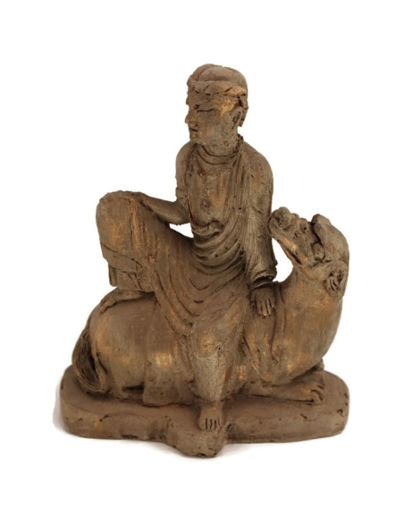 Hombre montado a camello