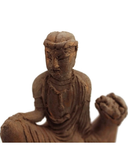 Hombre montado a camello