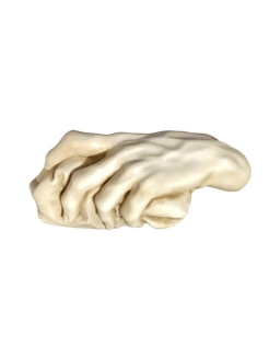 Mano cerrada de Juan Domingo Olivieri