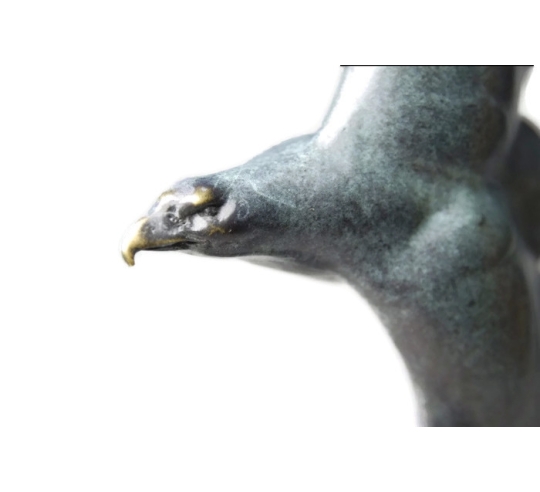 Aigle royal par Miguel Fernando Lopez (Milo)