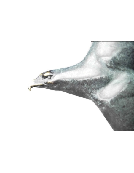 Golden eagle by Miguel Fernando Lopez (Milo)