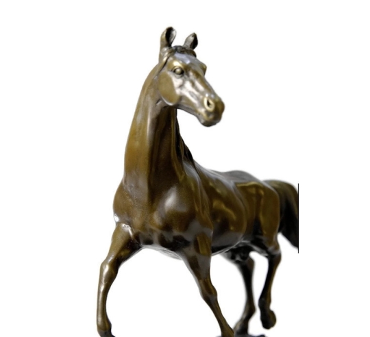 Cheval au trot par Miguel Fernando Lopez (Milo)