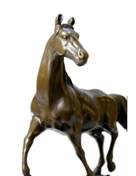 Cheval au trot par Miguel Fernando Lopez (Milo) Cheval au trot par Miguel Fernando Lopez (Milo)