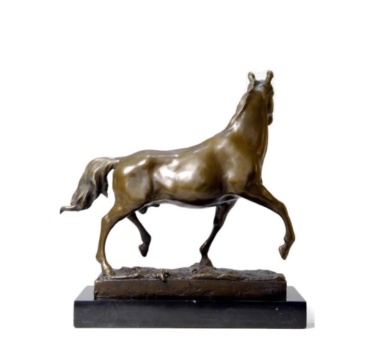 Horse at trot by Miguel Fernando Lopez (Milo)