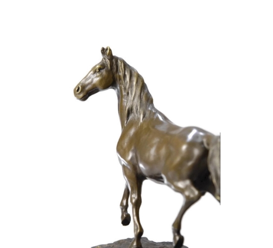 Cheval au trot par Miguel Fernando Lopez (Milo)