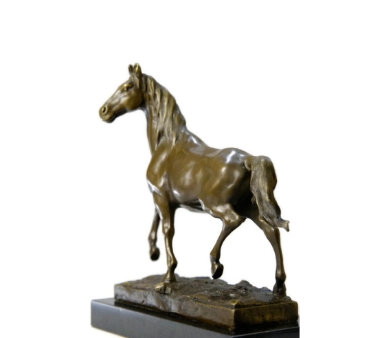 Caballo al trote por Miguel Fernando Lopez (Milo)