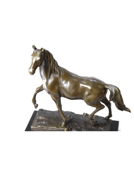 Horse at trot by Miguel Fernando Lopez (Milo)