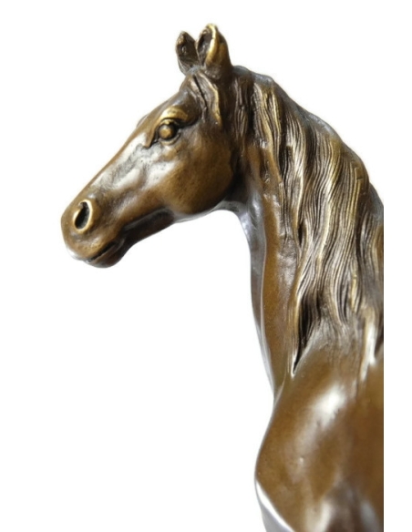 Cheval au trot par Miguel Fernando Lopez (Milo) Cheval au trot par Miguel Fernando Lopez (Milo)