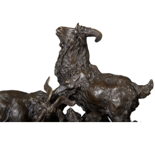 Goat and its kittens by Miguel Fernando Lopez (Milo)