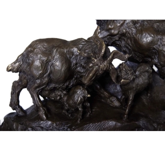 Goat and its kittens by Miguel Fernando Lopez (Milo)