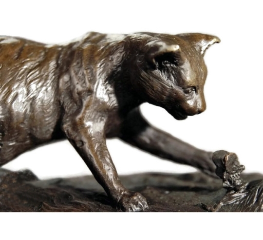 Gato jugando con una mariposa de Miguel Fernando López (Milo)