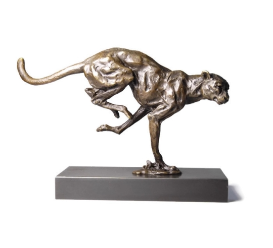 Cheetah hunting by Miguel Fernando López (Milo)