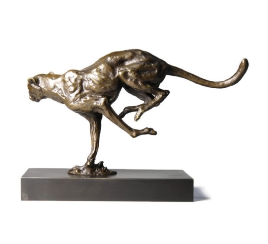 Cheetah hunting by Miguel Fernando López (Milo)