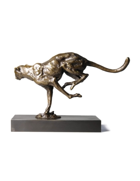 Cheetah hunting by Miguel Fernando López (Milo)