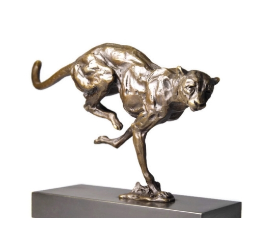 Cheetah hunting by Miguel Fernando López (Milo)