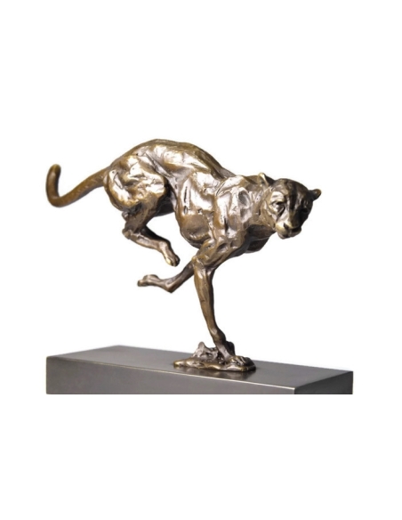 Cheetah hunting by Miguel Fernando López (Milo)