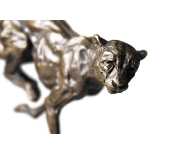 Cheetah hunting by Miguel Fernando López (Milo)