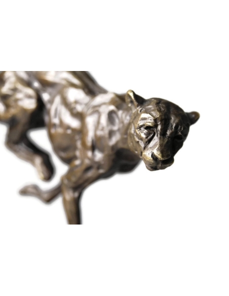 Cheetah hunting by Miguel Fernando López (Milo)