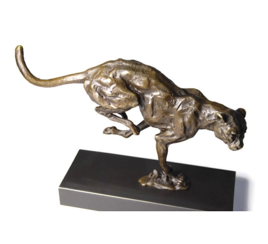 Cheetah hunting by Miguel Fernando López (Milo)