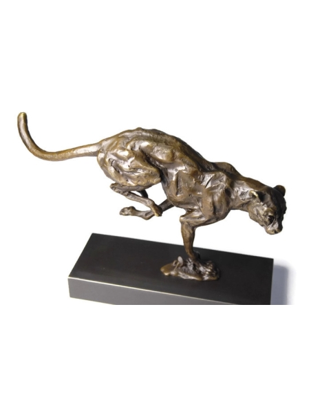 Cheetah hunting by Miguel Fernando López (Milo)