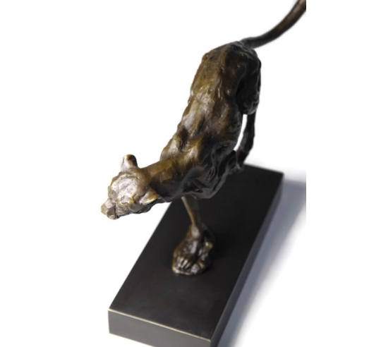 Cheetah hunting by Miguel Fernando López (Milo)