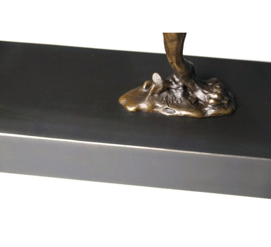 Guepardo cazando por Miguel Fernando López (Milo)