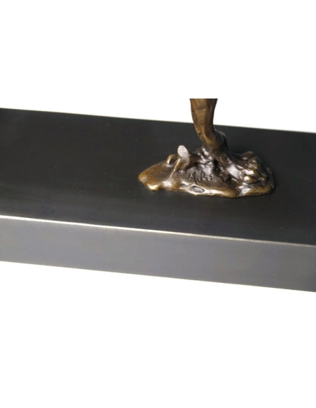 Cheetah hunting by Miguel Fernando López (Milo)