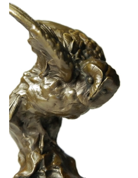 Owl watching its prey by Miguel Fernando López (Milo)