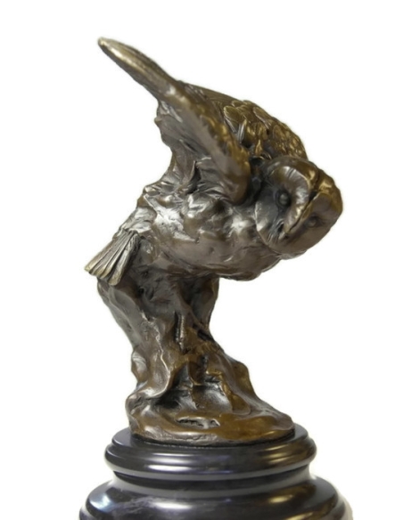 Owl watching its prey by Miguel Fernando López (Milo)