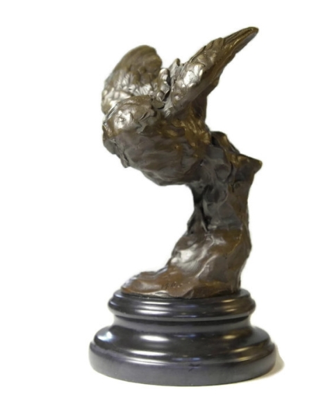 Owl watching its prey by Miguel Fernando López (Milo)