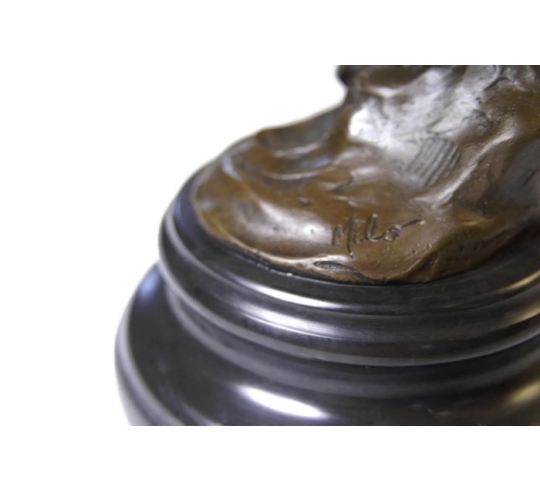 Owl watching its prey by Miguel Fernando López (Milo)