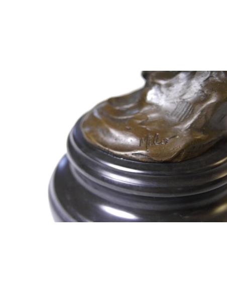 Owl watching its prey by Miguel Fernando López (Milo)