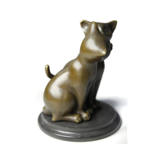 Pareja de gatitos de Miguel Fernando López (Milo)