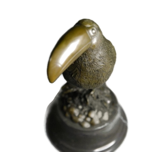 Toucan immobile by Miguel Fernando López (Milo)