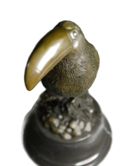 Toucan immobile by Miguel Fernando López (Milo)