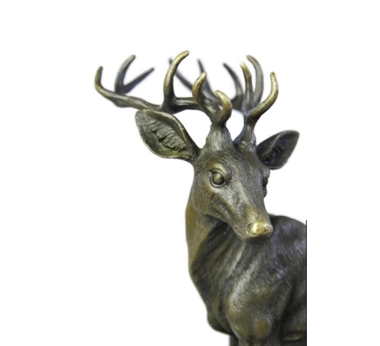 Young stag by Miguel Fernando López (Milo)