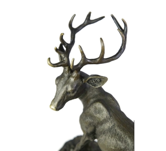 Young stag by Miguel Fernando López (Milo)