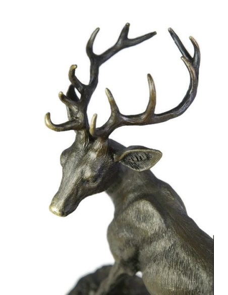 Young stag by Miguel Fernando López (Milo) Young stag by Miguel Fernando López (Milo)